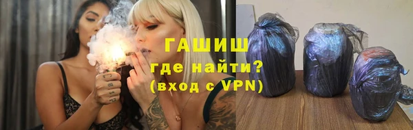 индика Арсеньев