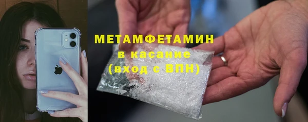 индика Арсеньев