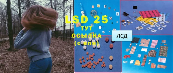 индика Арсеньев