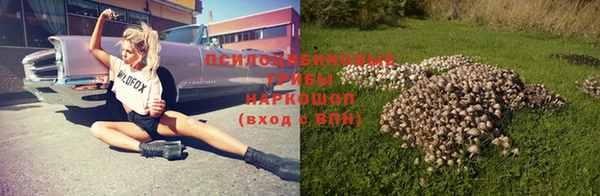 индика Арсеньев