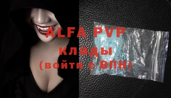индика Арсеньев