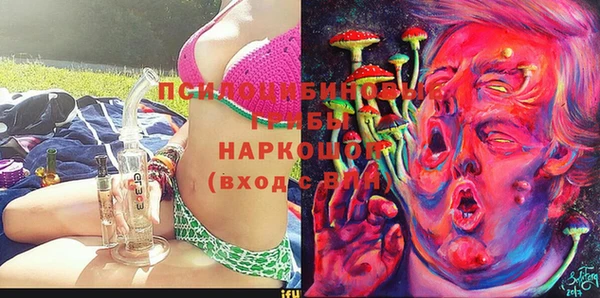 индика Арсеньев