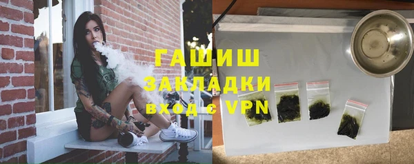 индика Арсеньев